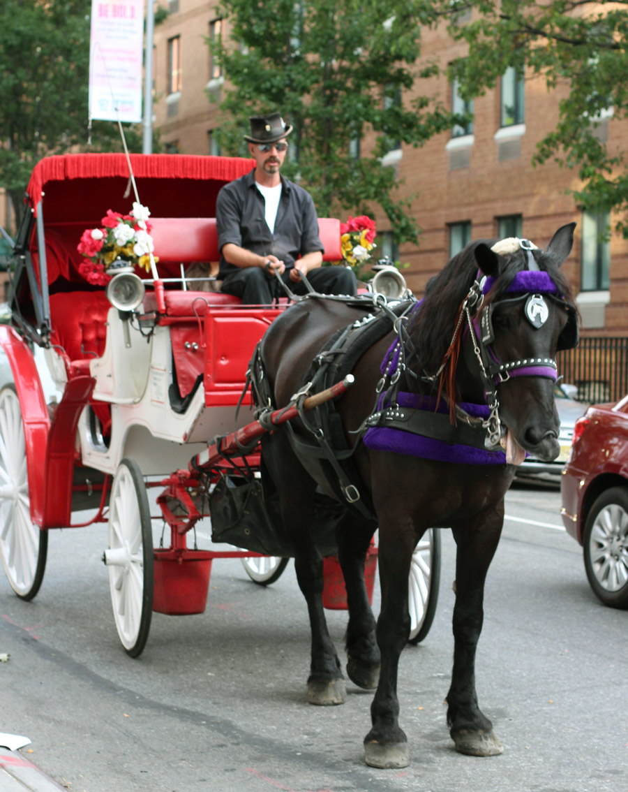 First Generation Fashion Marina